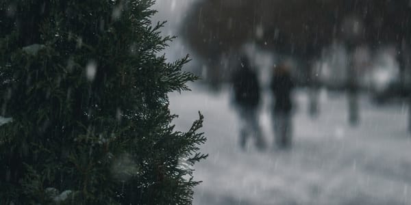 When Winter Brings More Than Cold: Understanding Seasonal Depression in Canada